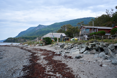 Saison,Été,Camping,Hébergement,MRC Haute-Gaspésie,Région,Sainte-Anne-Des-Monts,Le Sea Shack,Chalet,Eau,Plage,Bar,Club,Pub,Brasserie,Jour,Temps